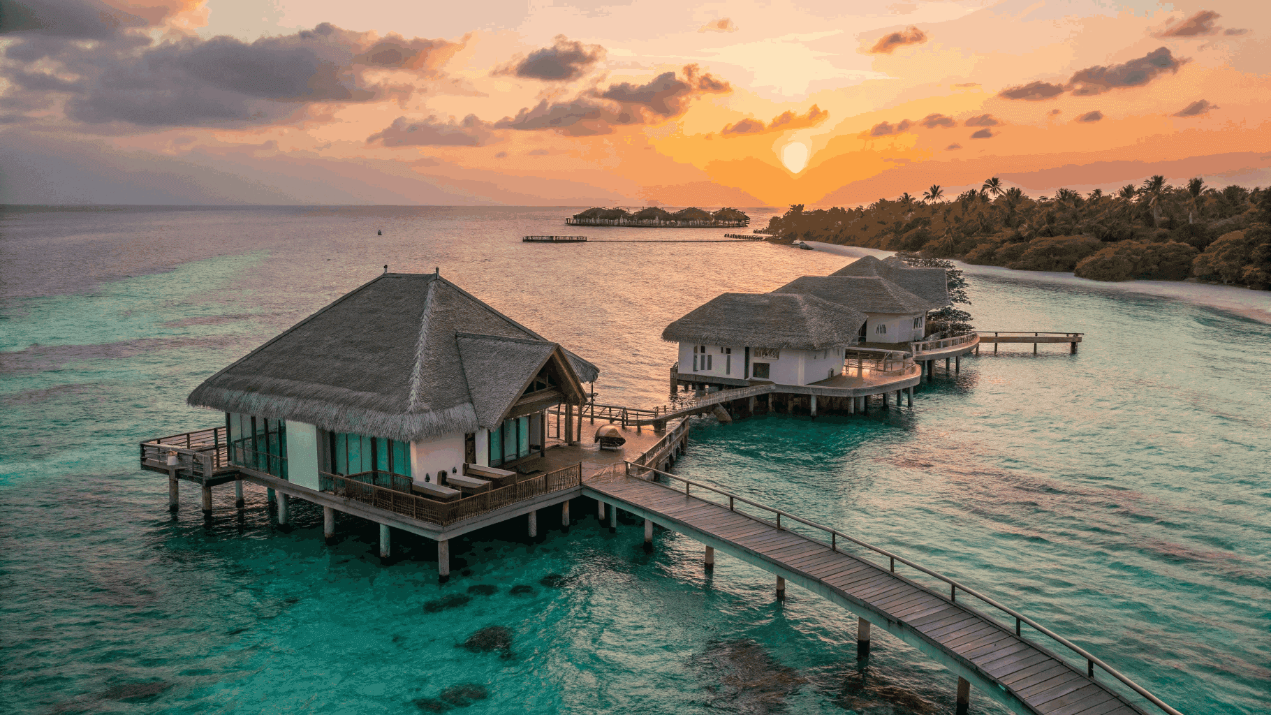 Maldives Resort Chain — panoramic island resort with data-driven pricing strategy